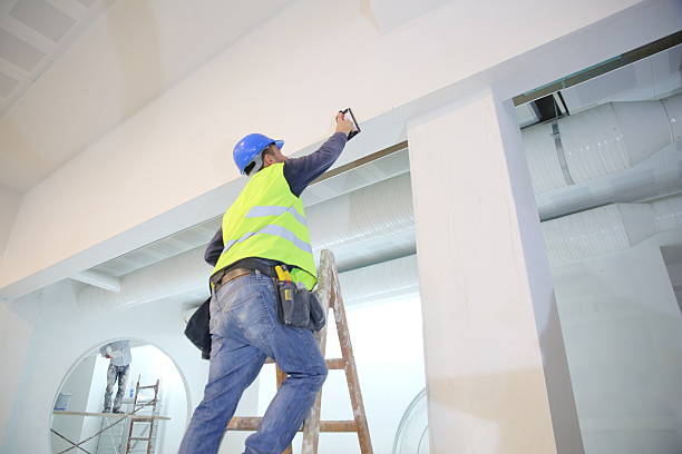 Reliable Arrowhead Beach, NC Mold Removal Solutions